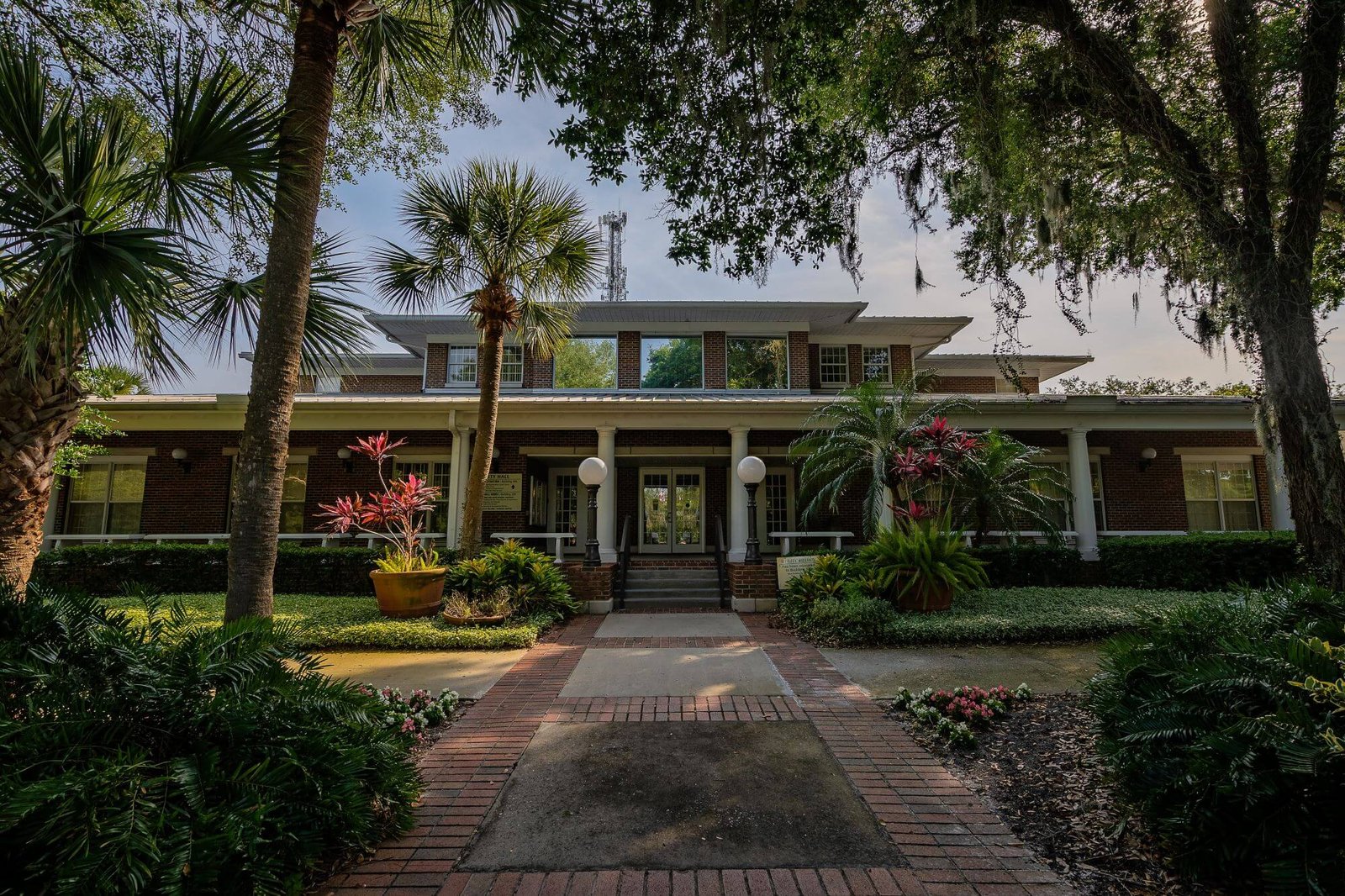 A Central Florida estate home surrounded by mature palms